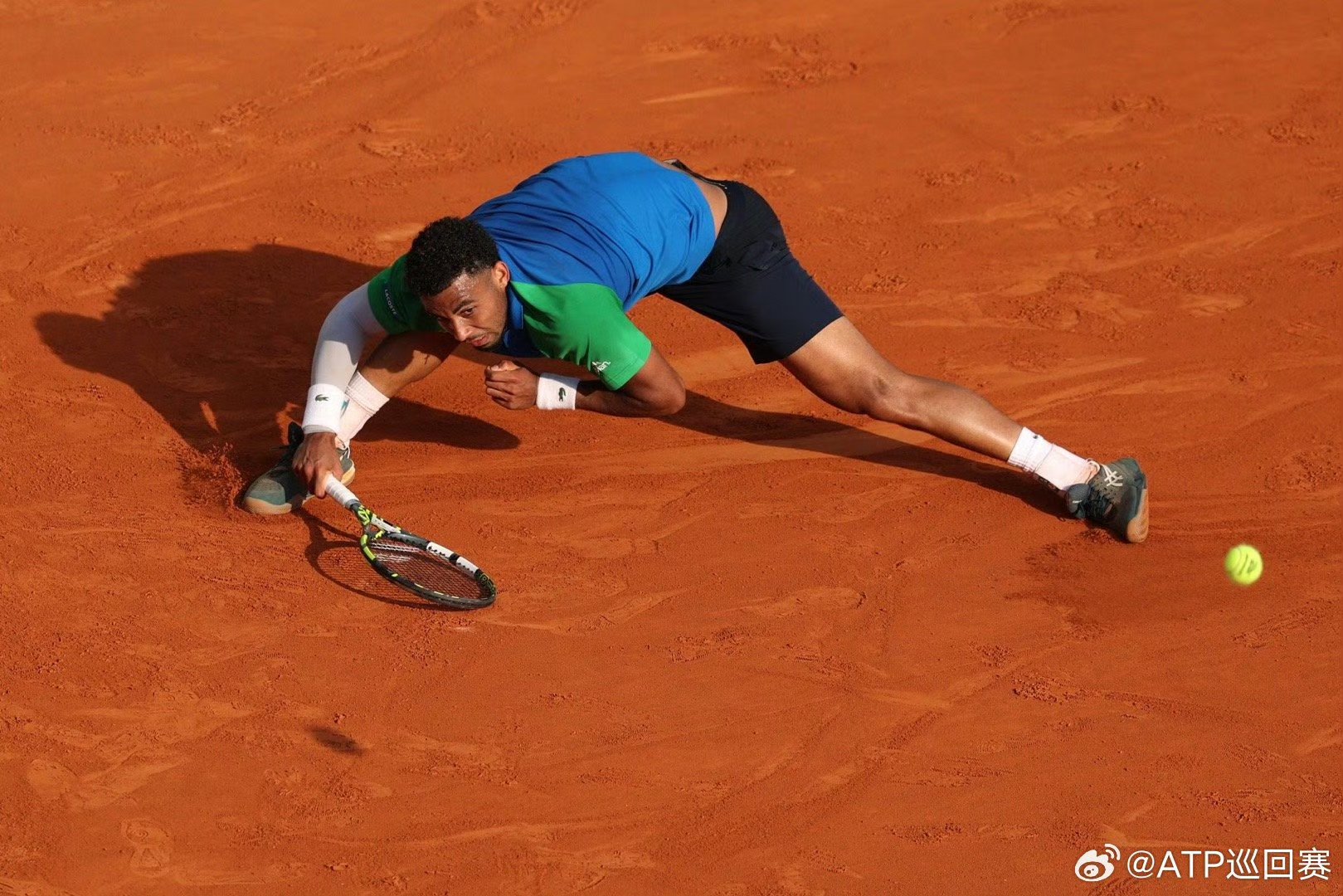 蒙特卡洛大师赛横扫温网，穆雷刷新纪录的简单介绍