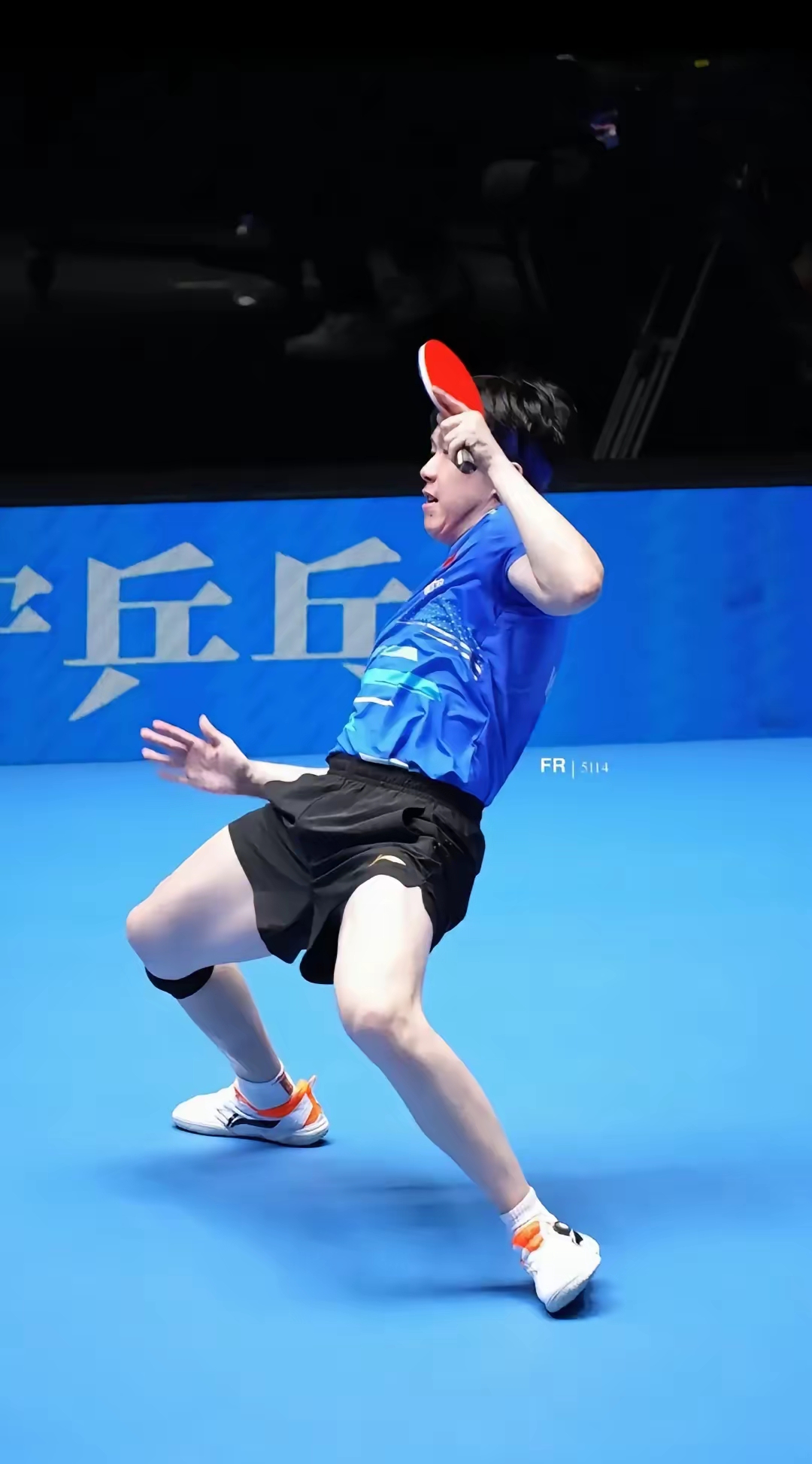 奥地利队横扫韩国队,许昕点燃赛场 奥地利队横扫韩国队,许昕点燃赛场