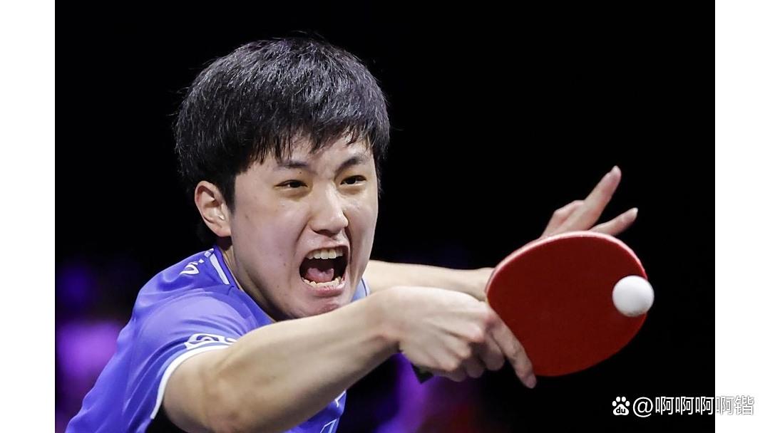 葡萄牙队完胜奥地利队,张本智和高光表现 葡萄牙队完胜奥地利队,张本智和高光表现