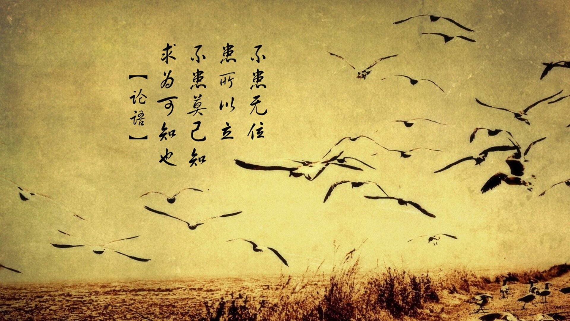 梅德韦杰夫拉沃尔杯逆转秀,年终总决赛级表现惊艳四座