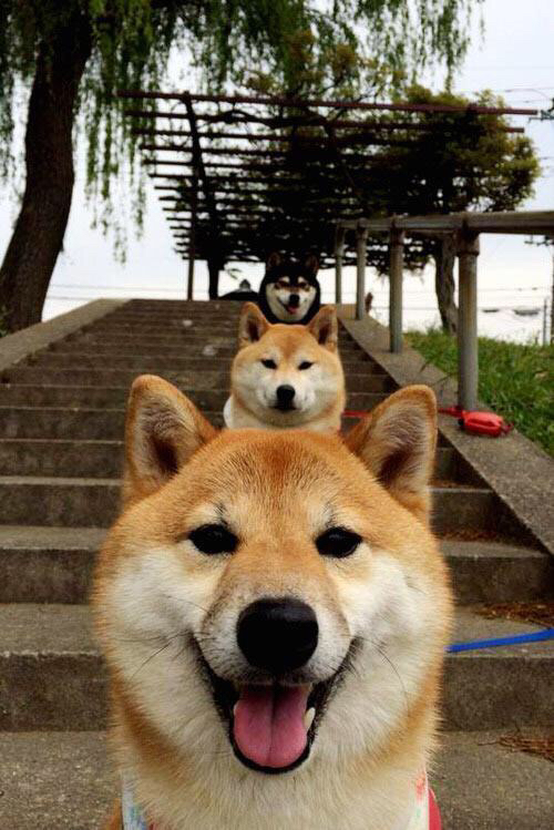 双面欧洲,当克罗地亚的绝杀匕首遇见萨内的艺术焰火