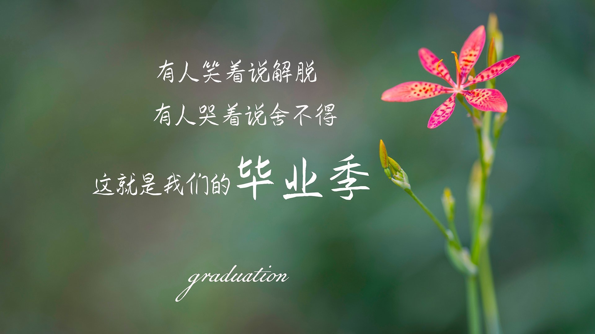 基于此，为您拟定的文章标题是