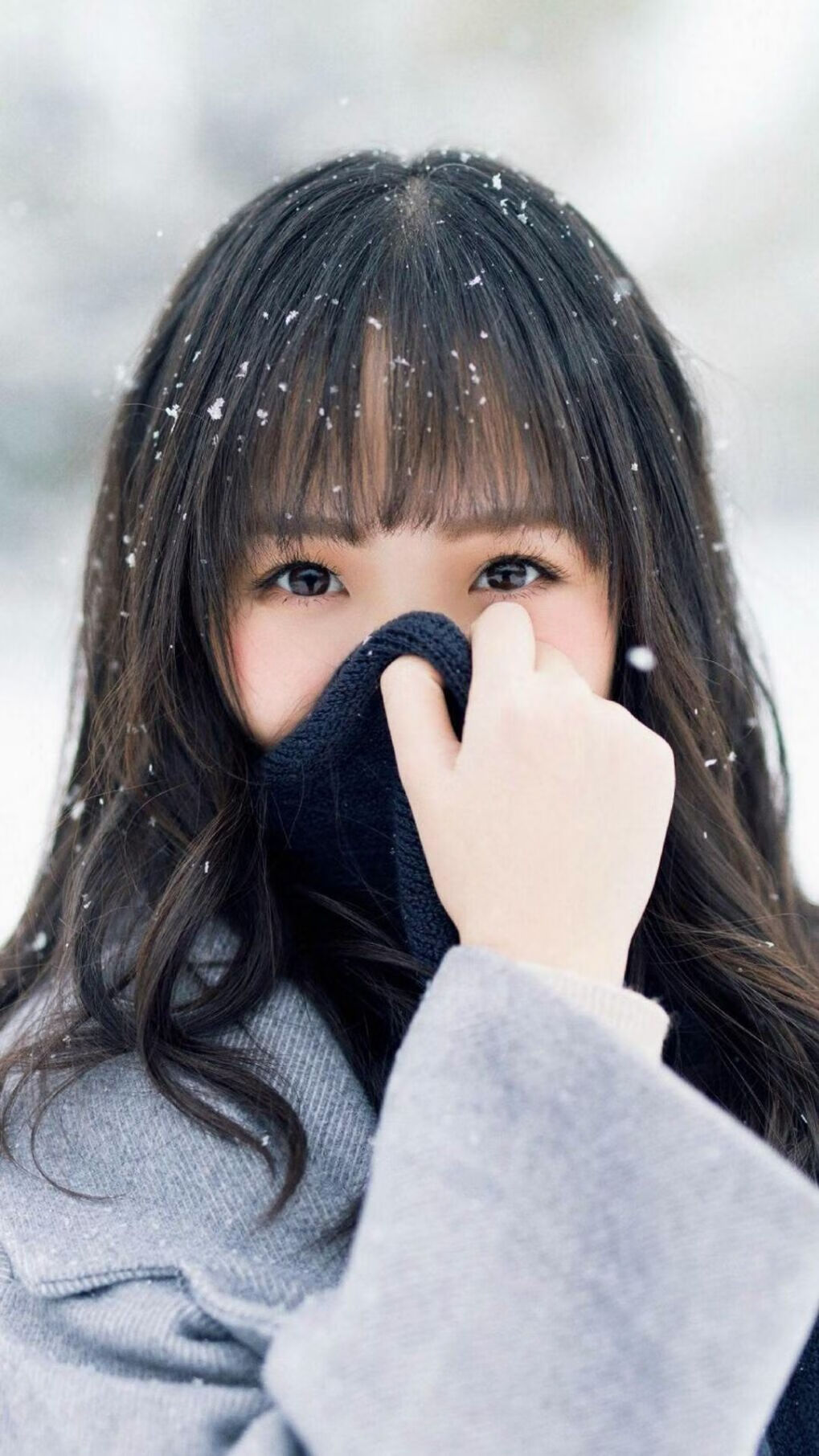 当红白旗遇上枫叶，41岁伊布空降蒙特利尔，独造三球撕裂世界冠军防线