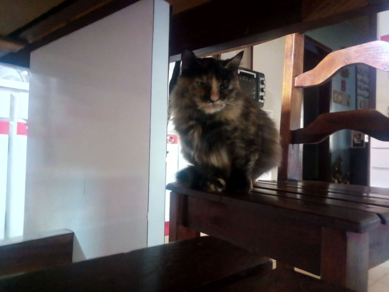 璀璨如星的瞬间,当凯塞多成为全世界的圆心