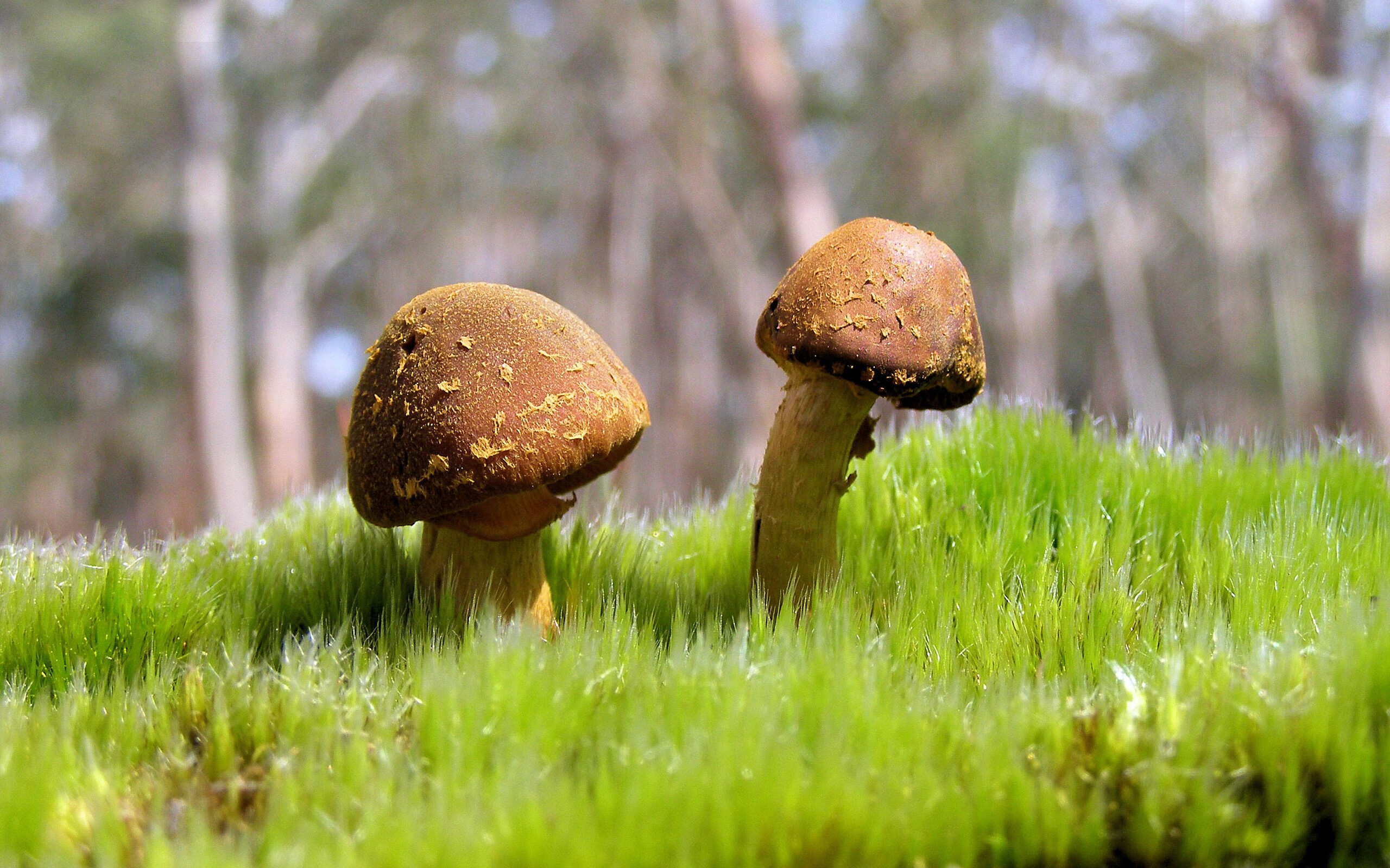 魔王与军队，爱德华兹的无解之夜与爵士的集体压制