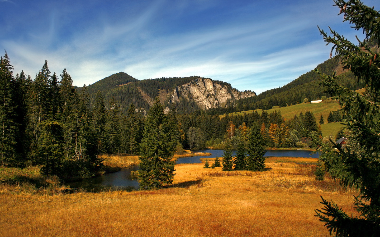 F1争冠夜，那个站在维特尔与汉密尔顿身后的巴斯克幽灵