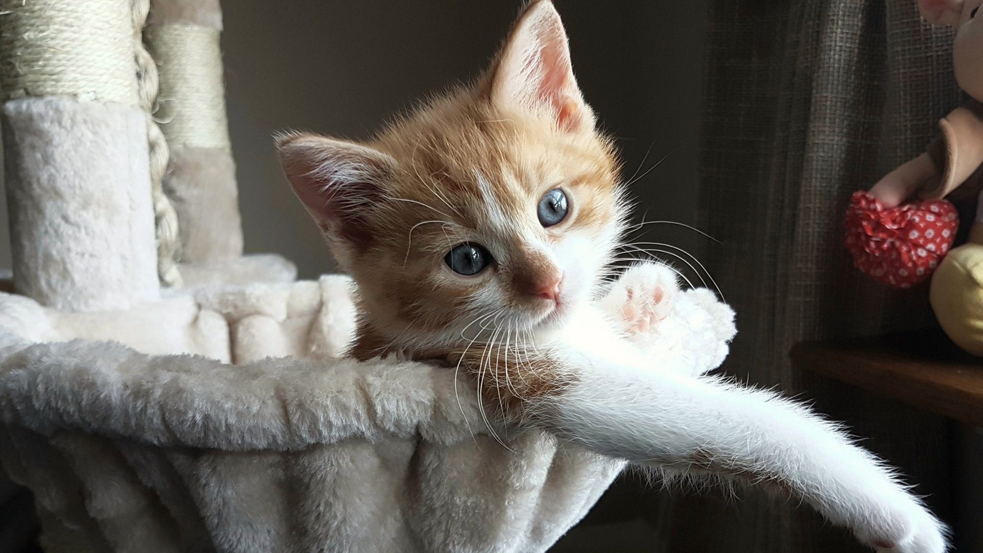 玻利维亚之夜，从高原对决到2026的迪巴拉预言