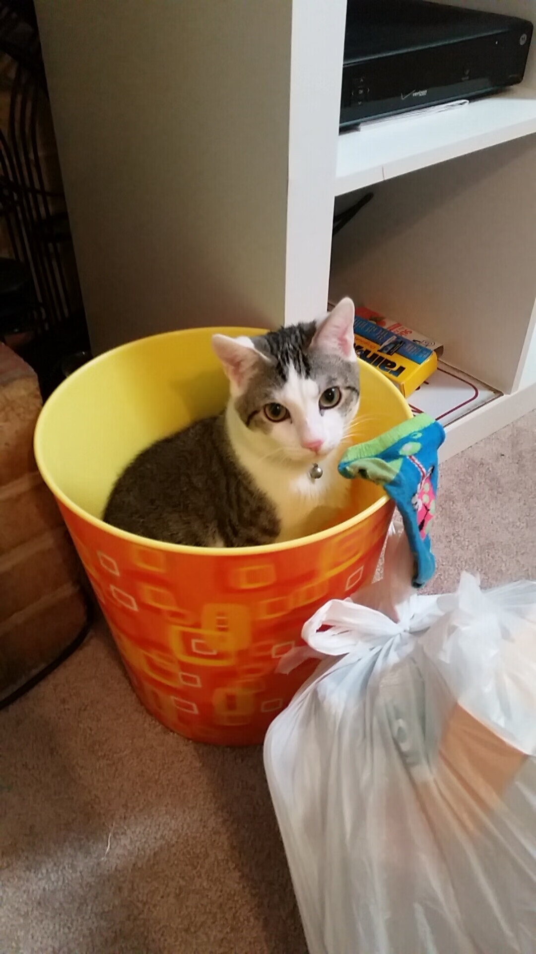 蓝黑交响曲,劳塔罗点燃引擎,比利时铁骑碾过佛罗伦萨防线