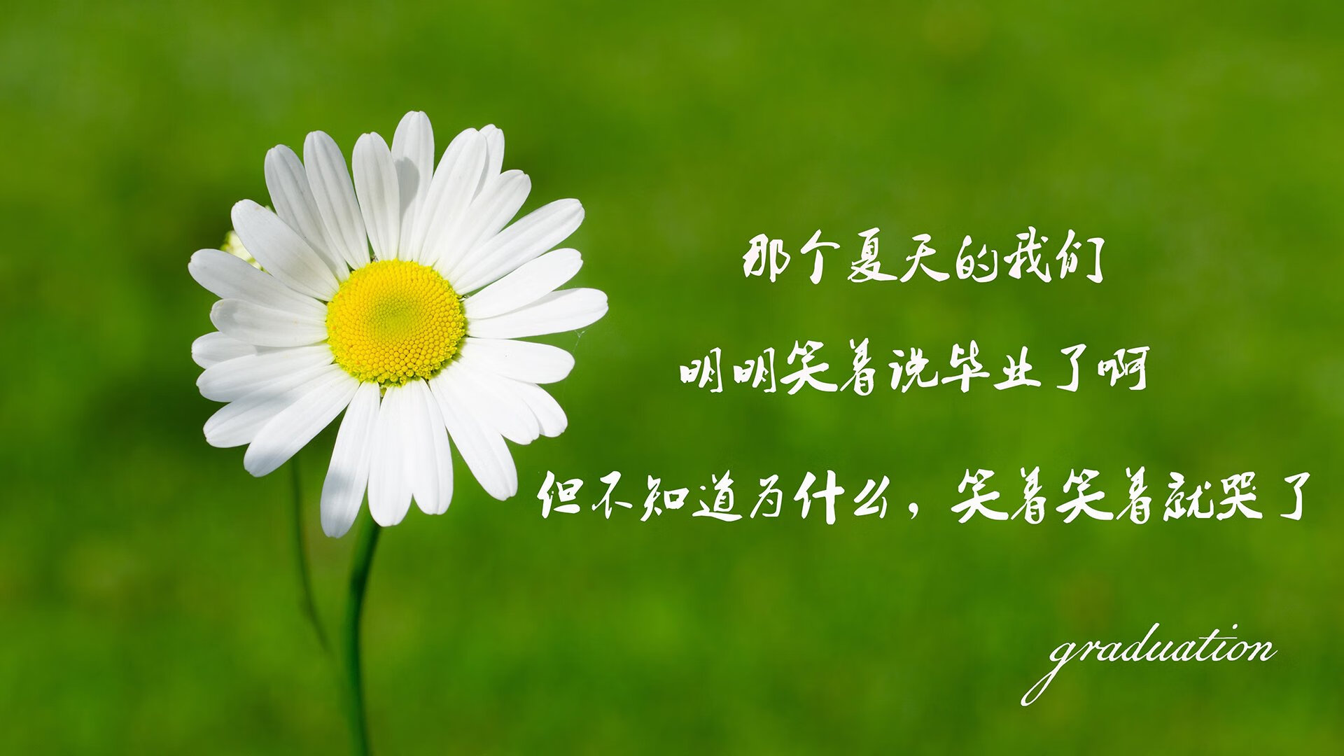 当秩序碾压天赋，2026世界杯F组，德国精密战车碾碎泰国梅西的独舞与孤勇